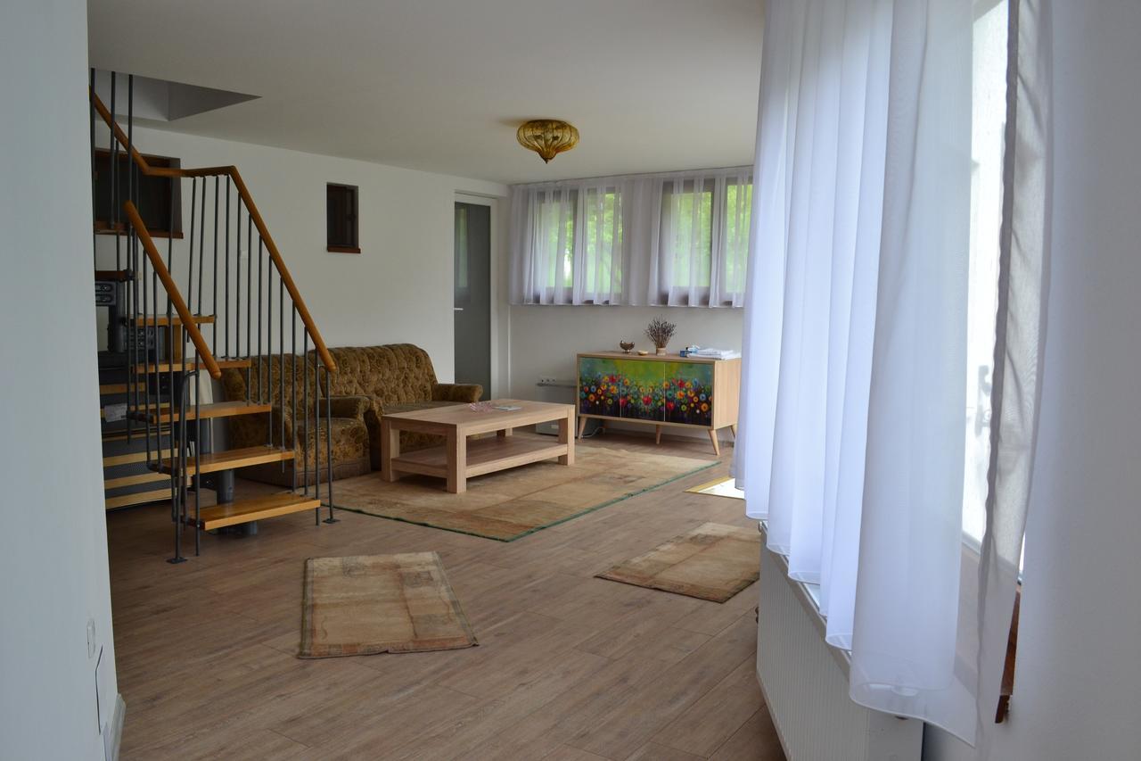Отель Casa Bota Вишеу-де-Сус Экстерьер фото