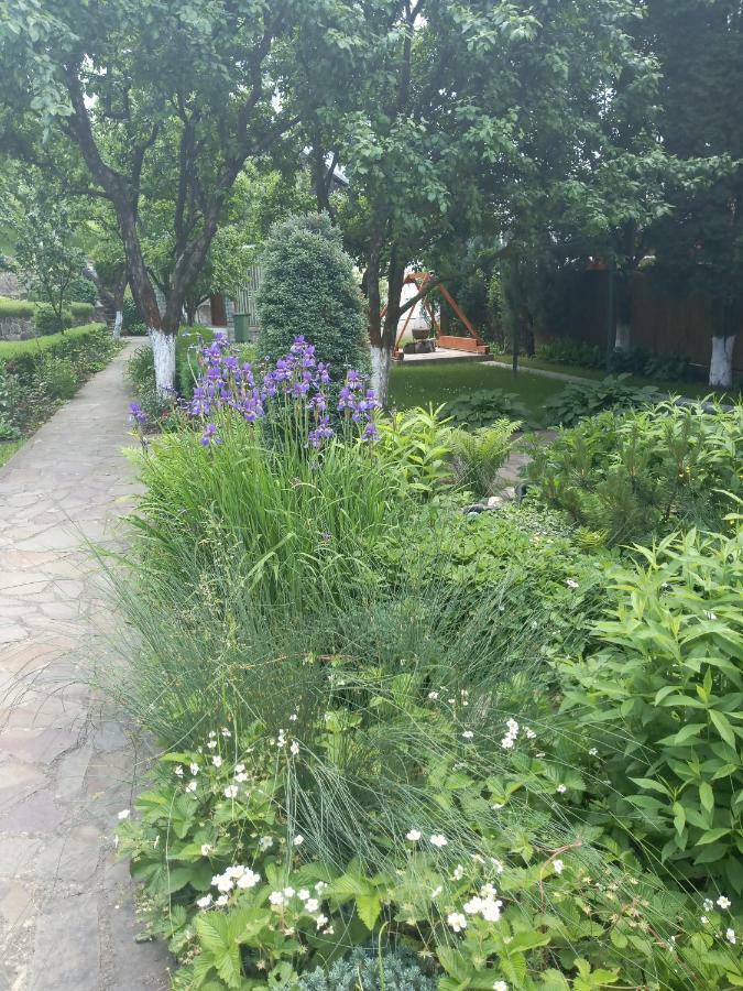 Отель Casa Bota Вишеу-де-Сус Экстерьер фото